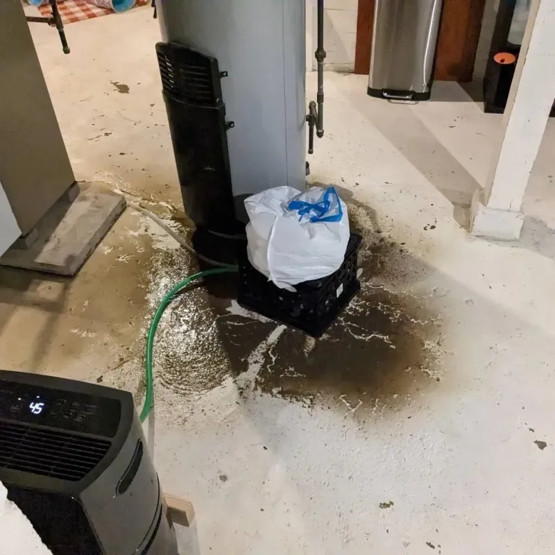 Sewage Backup Cleanup Service in Mattawa, WA